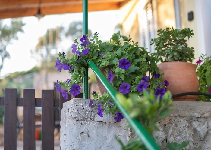 House Klementina Semesterbostad *